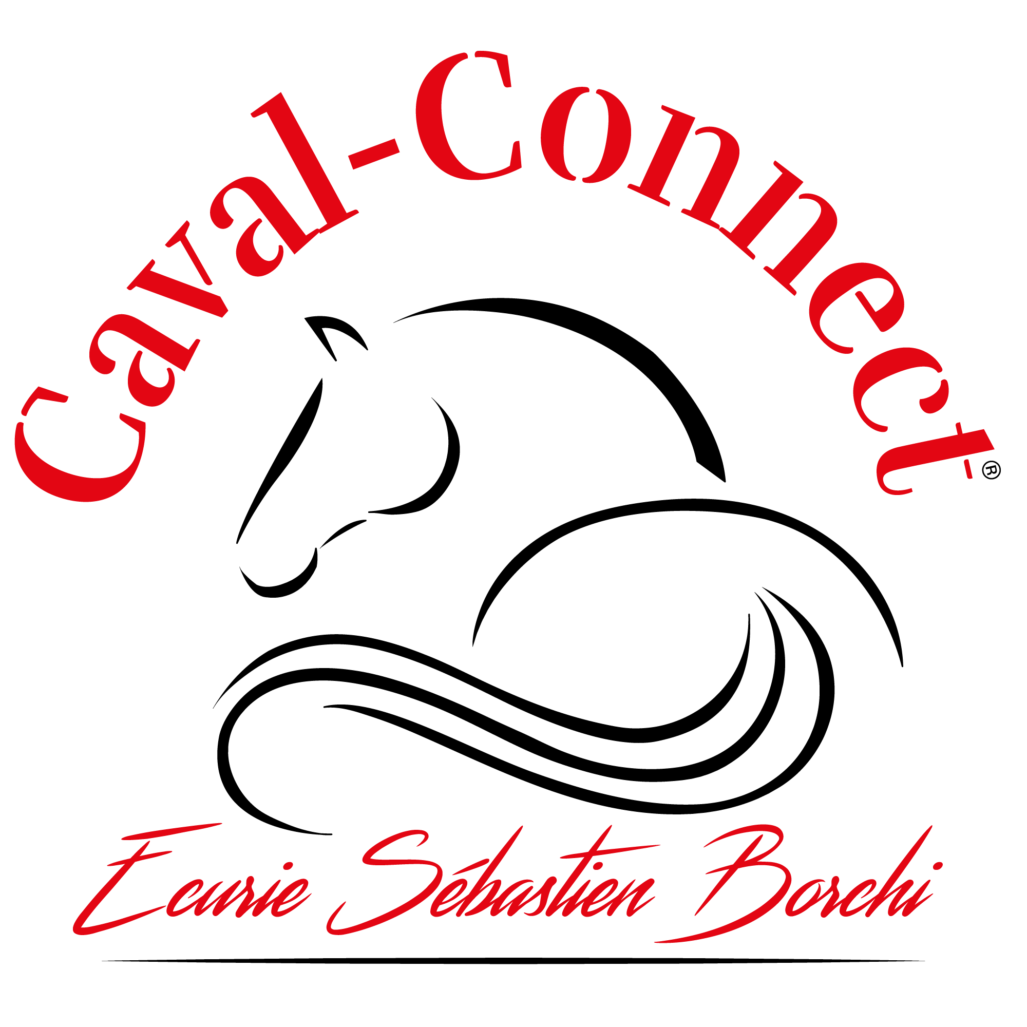 Caval Connect